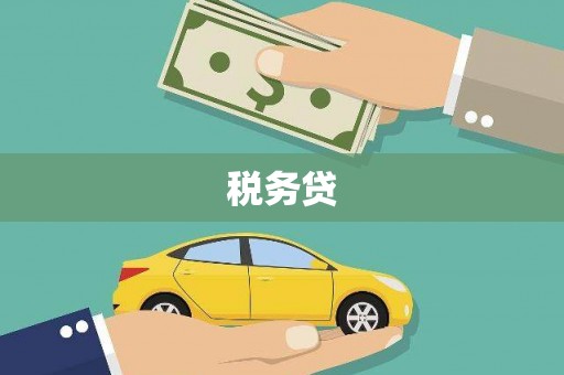 平陆税务贷