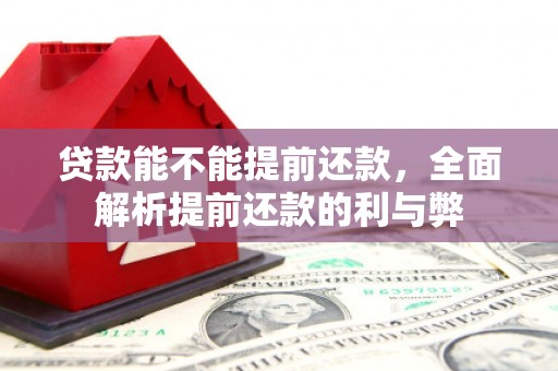 平陆贷款能不能提前还款，全面解析提前还款的利与弊