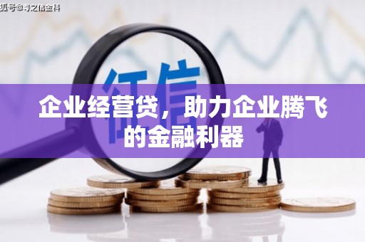 平陆企业经营贷，助力企业腾飞的金融利器