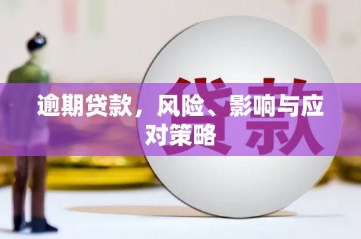 平陆逾期贷款，风险、影响与应对策略