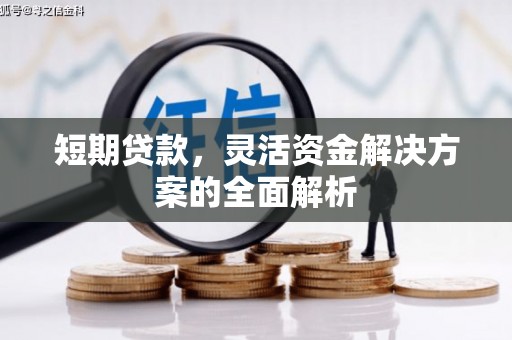 平陆短期贷款，灵活资金解决方案的全面解析