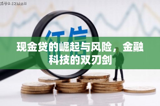 平陆现金贷的崛起与风险，金融科技的双刃剑