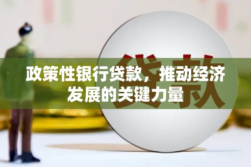 平陆政策性银行贷款，推动经济发展的关键力量