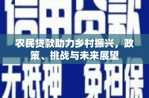 平陆农民贷款助力乡村振兴，政策、挑战与未来展望