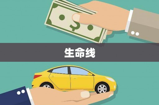 平陆生命线