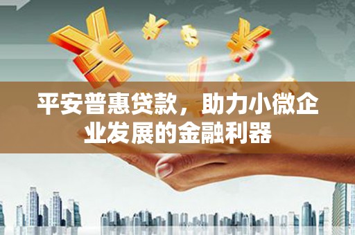 平陆平安普惠贷款，助力小微企业发展的金融利器