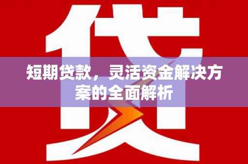 平陆短期贷款，灵活资金解决方案的全面解析