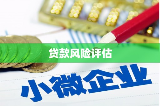 平陆贷款风险评估