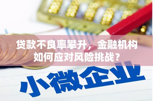 平陆贷款不良率攀升，金融机构如何应对风险挑战？