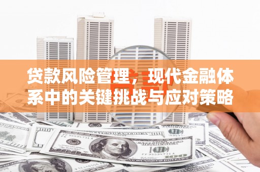 平陆贷款风险管理，现代金融体系中的关键挑战与应对策略