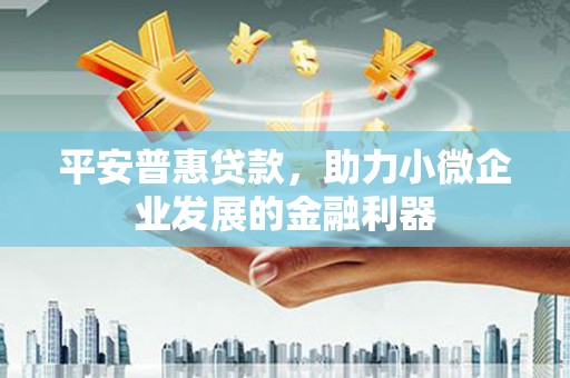 平陆平安普惠贷款，助力小微企业发展的金融利器
