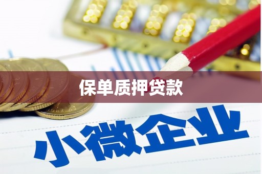平陆保单质押贷款