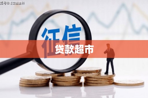 平陆贷款超市