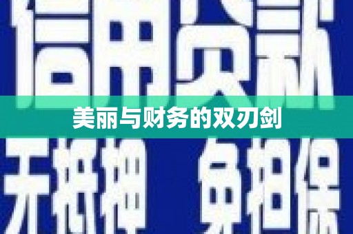 平陆美丽与财务的双刃剑