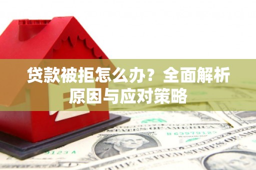平陆贷款被拒怎么办？全面解析原因与应对策略