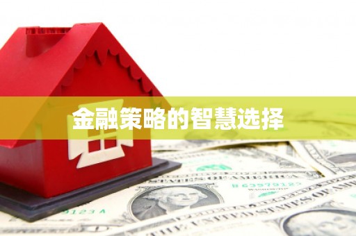 平陆金融策略的智慧选择