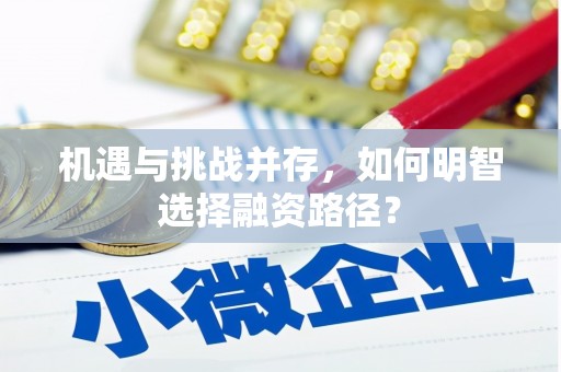 平陆机遇与挑战并存，如何明智选择融资路径？