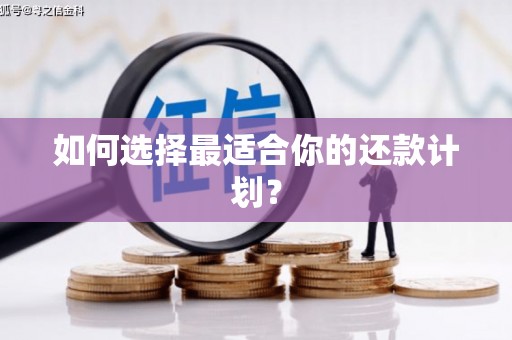 平陆如何选择最适合你的还款计划？